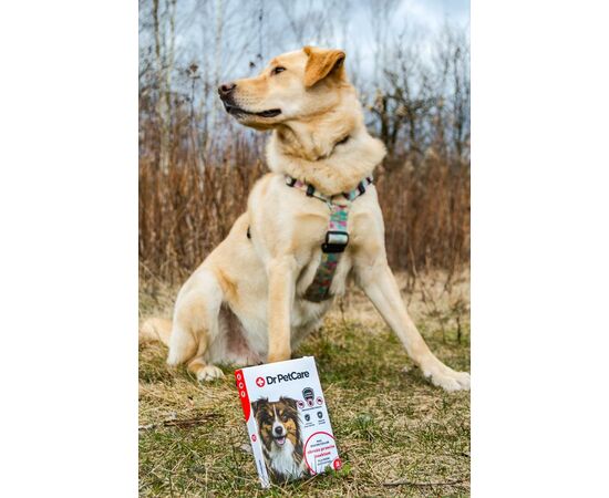 DrPetCare MAX Biocide Collar Obroża na pchły i insekty dla psa rasy dużej 75 cm