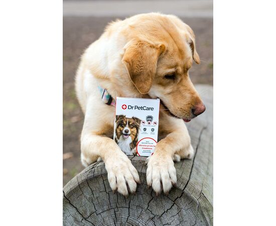 DrPetCare MAX Biocide Collar Obroża na pchły i insekty dla psa rasy dużej 75 cm
